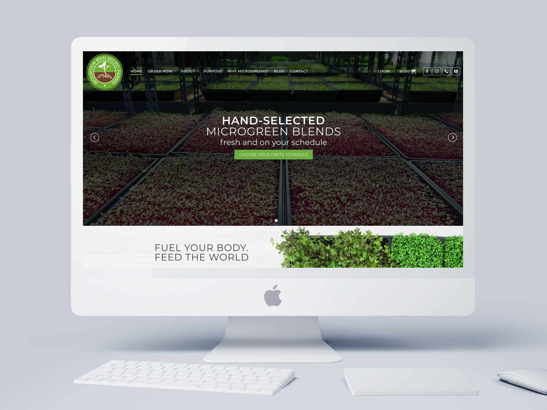 website design
